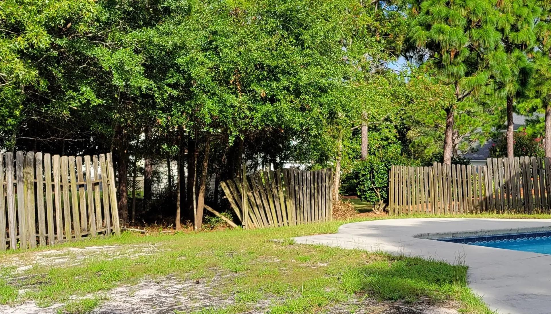 Fencing Solutions for The Dog House – Wilmington, NC - Image 3