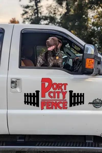 Family-Owned Fencing in Wilmington, NC Port City Fence service truck with dog looking out the window in Wilmington, NC.